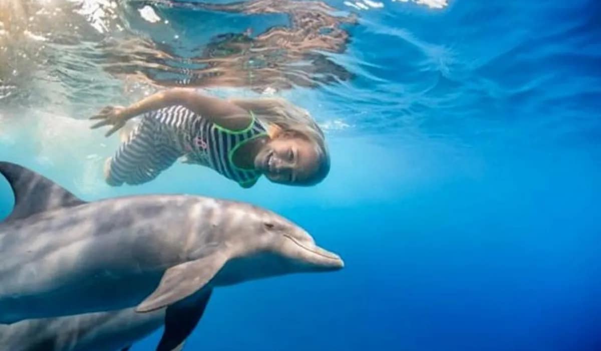 Dolphin Encounters