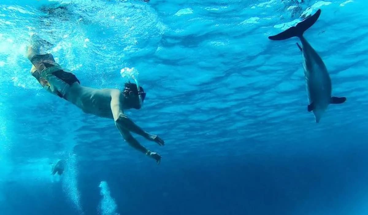 Golden Sunsets & Blue Horizons-tia trip-coral sea tours