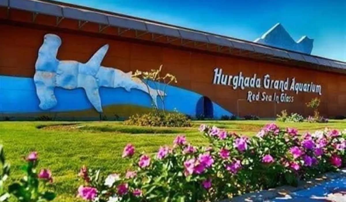 Aquarium Hurghada Aquarium Hurghada
