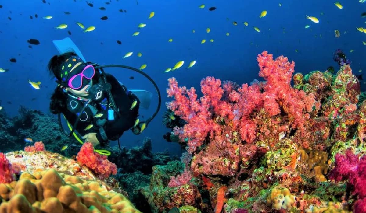 Scuba-Diving-Hurghada-3 Hurghada : 2 plongées pour débutants ou excursion snorkeling avec déjeuner