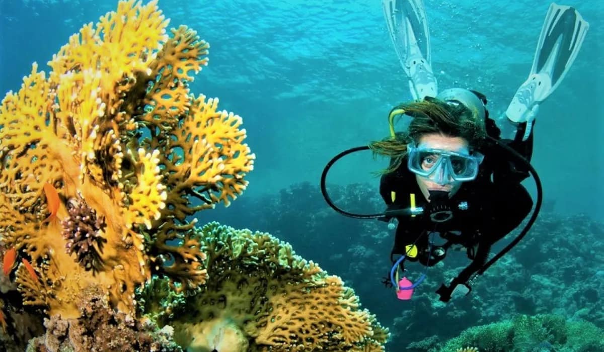 Scuba-Diving-Hurghada-6 Hurghada : 2 plongées pour débutants ou excursion snorkeling avec déjeuner