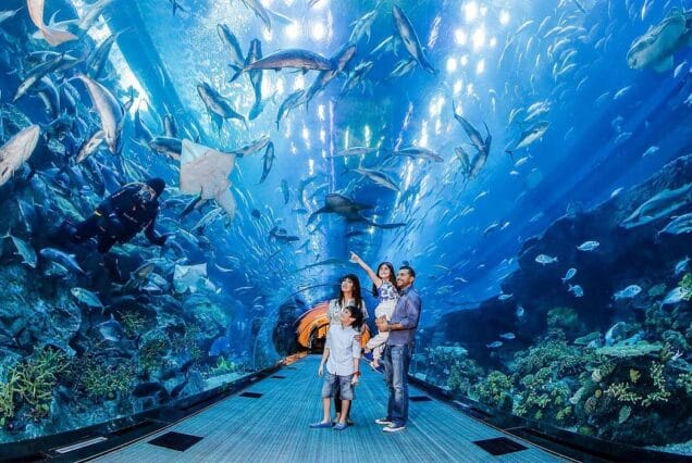 Aquarium Hurghada