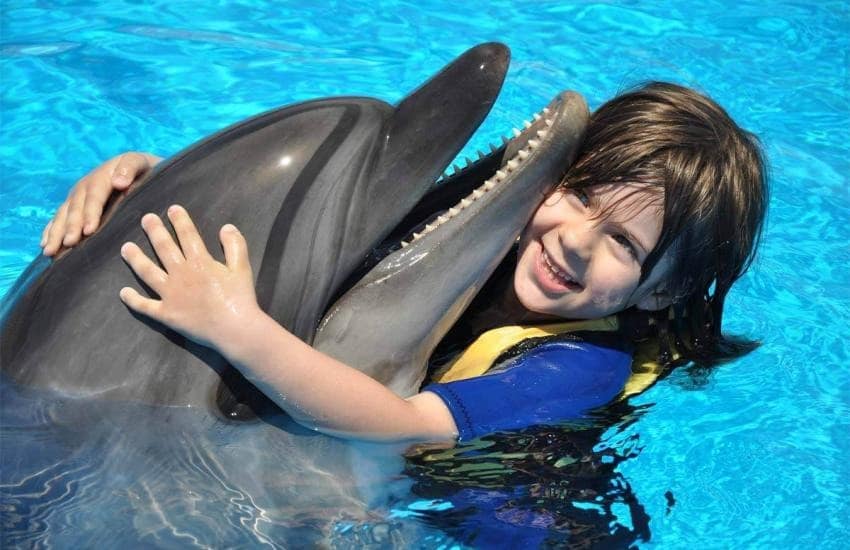 Swimming With Dolphins Hurghada Swimming With Dolphins Hurghada