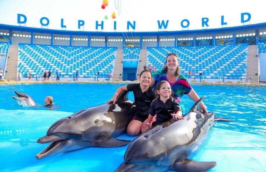 Swimming With Dolphins Hurghada Swimming With Dolphins Hurghada